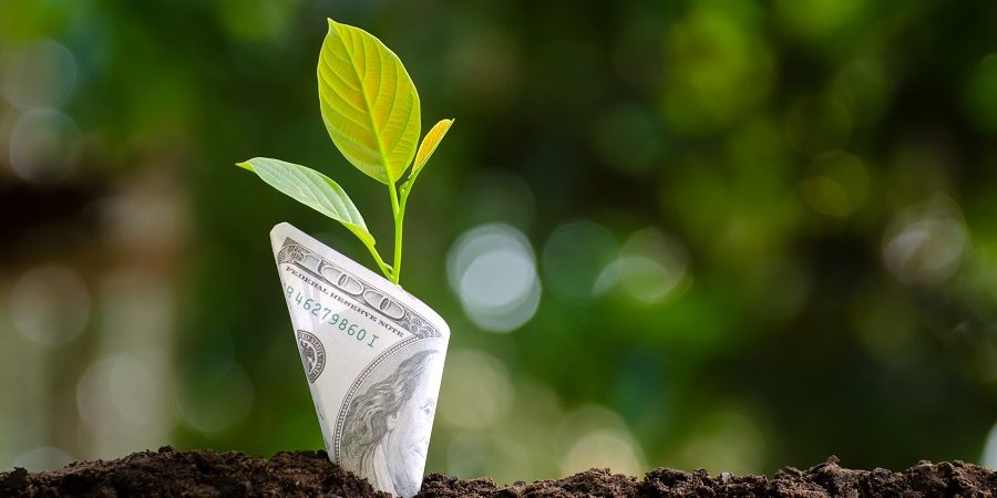 sustainable restaurant concept